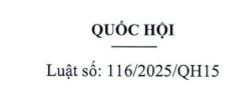 Luật An ninh mạng Quốc hội ban hành số 116/2025/QH15 ngày 10/12/2025